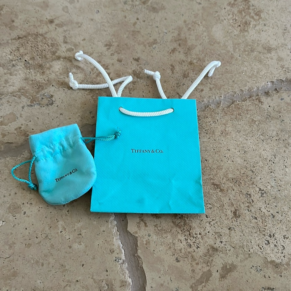 Tiffany and Co gift bag